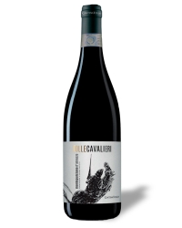 фото Вино Cantina Tollo, Colle Cavalieri Montepulciano d`Abruzzo 13% (0,75L)