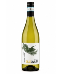 фото Вино Cantina Tollo, Colle Cavalieri Trebbiano d`Abruzzo 12% (0,75L)