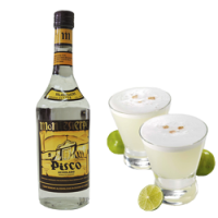 Писко в Алматы